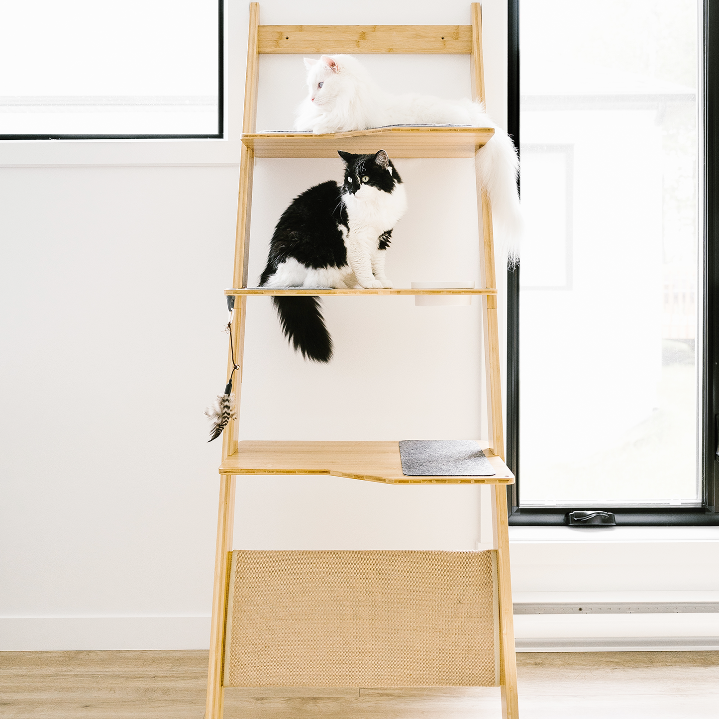 Additional Ladder tree scratcher