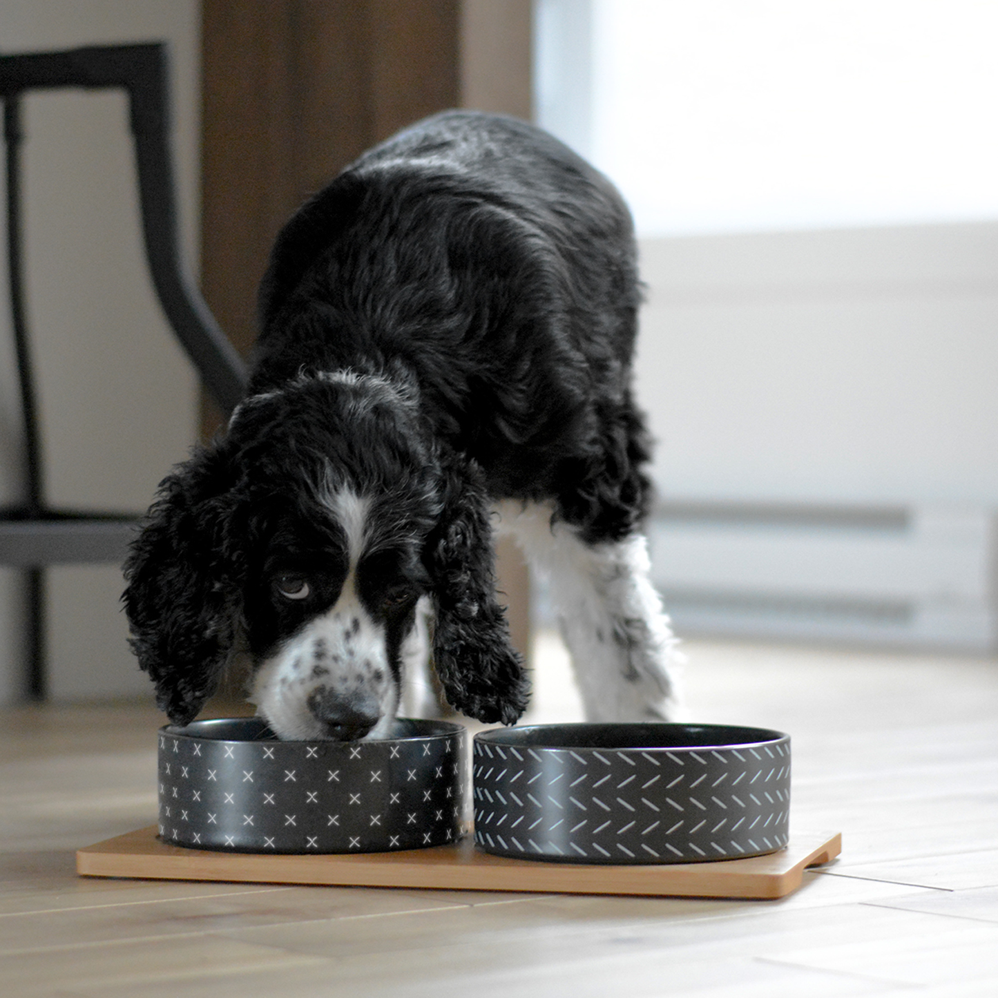 Ceramic bowls on bamboo plate for pet, black