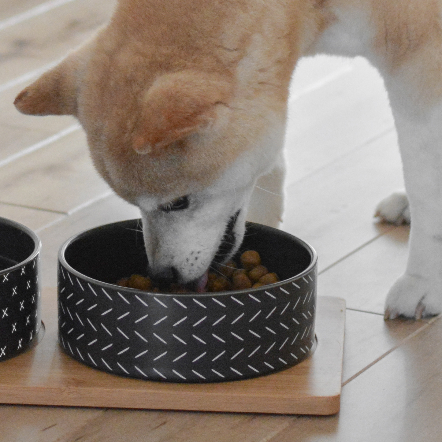 Ceramic bowls on bamboo plate for pet, black