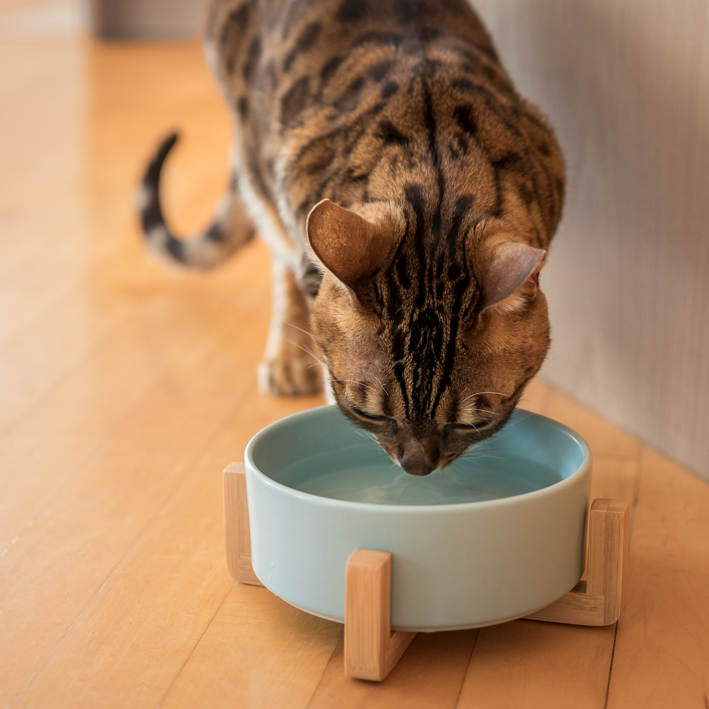 Ceramic bowl on wood pilotis for pet, turquoise