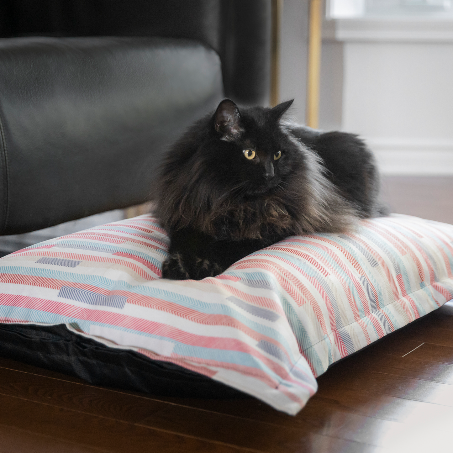 Supplementry cloud dog bed cover