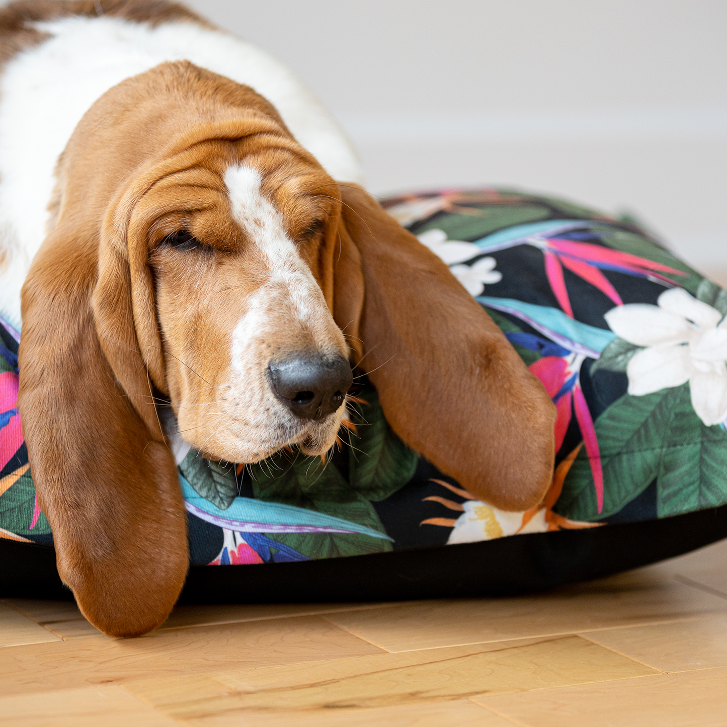 Supplementry cloud dog bed cover