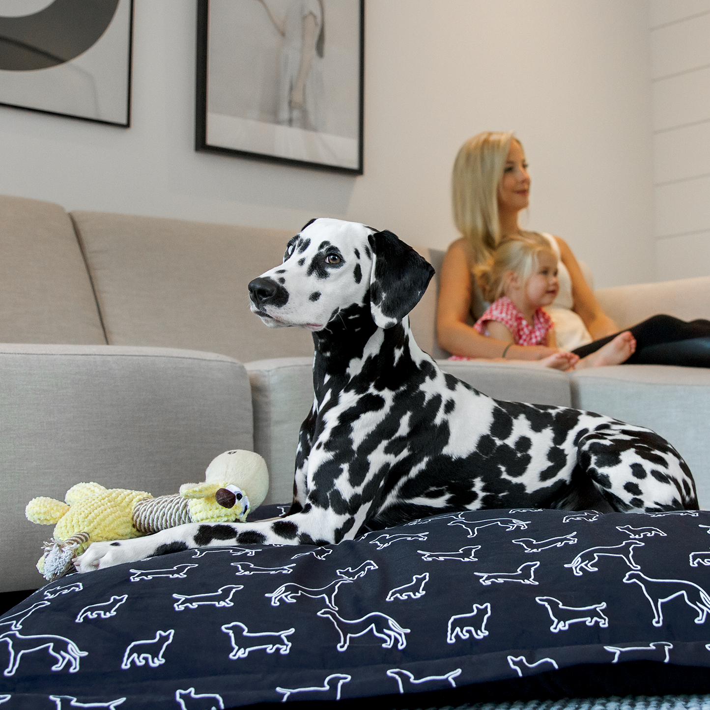 Cloud pillow stylish spare cover, 2 sizes
