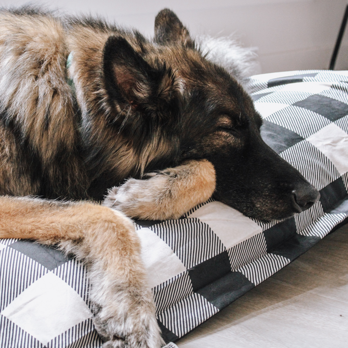 Supplementry cloud dog bed cover