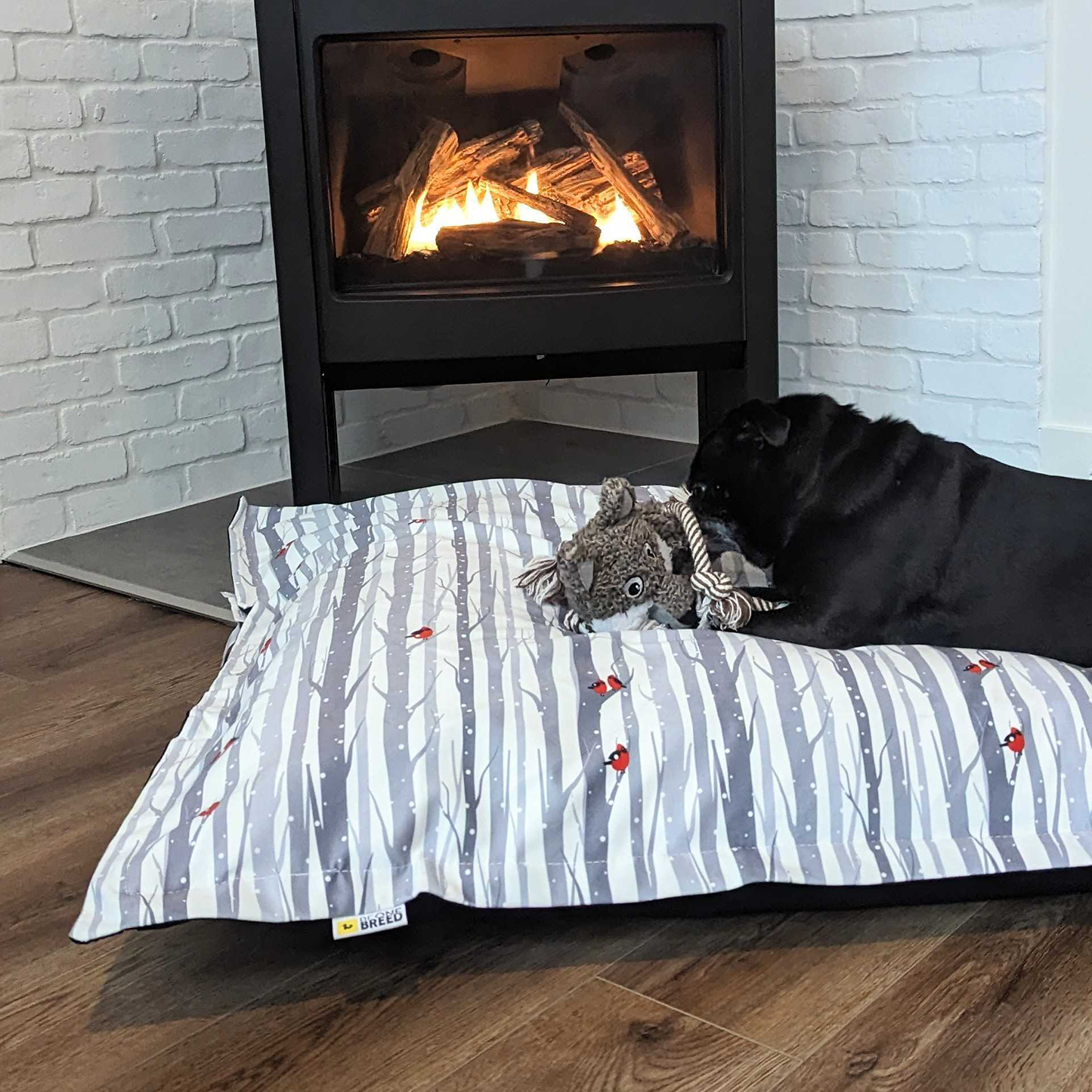 Supplementry cloud dog bed cover, cardinals