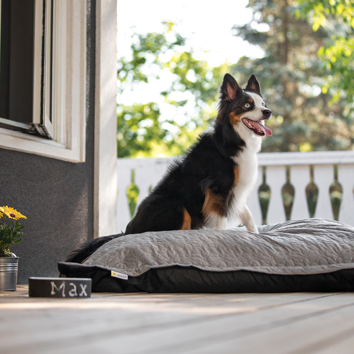 Cloud pillow stylish spare cover, 2 sizes