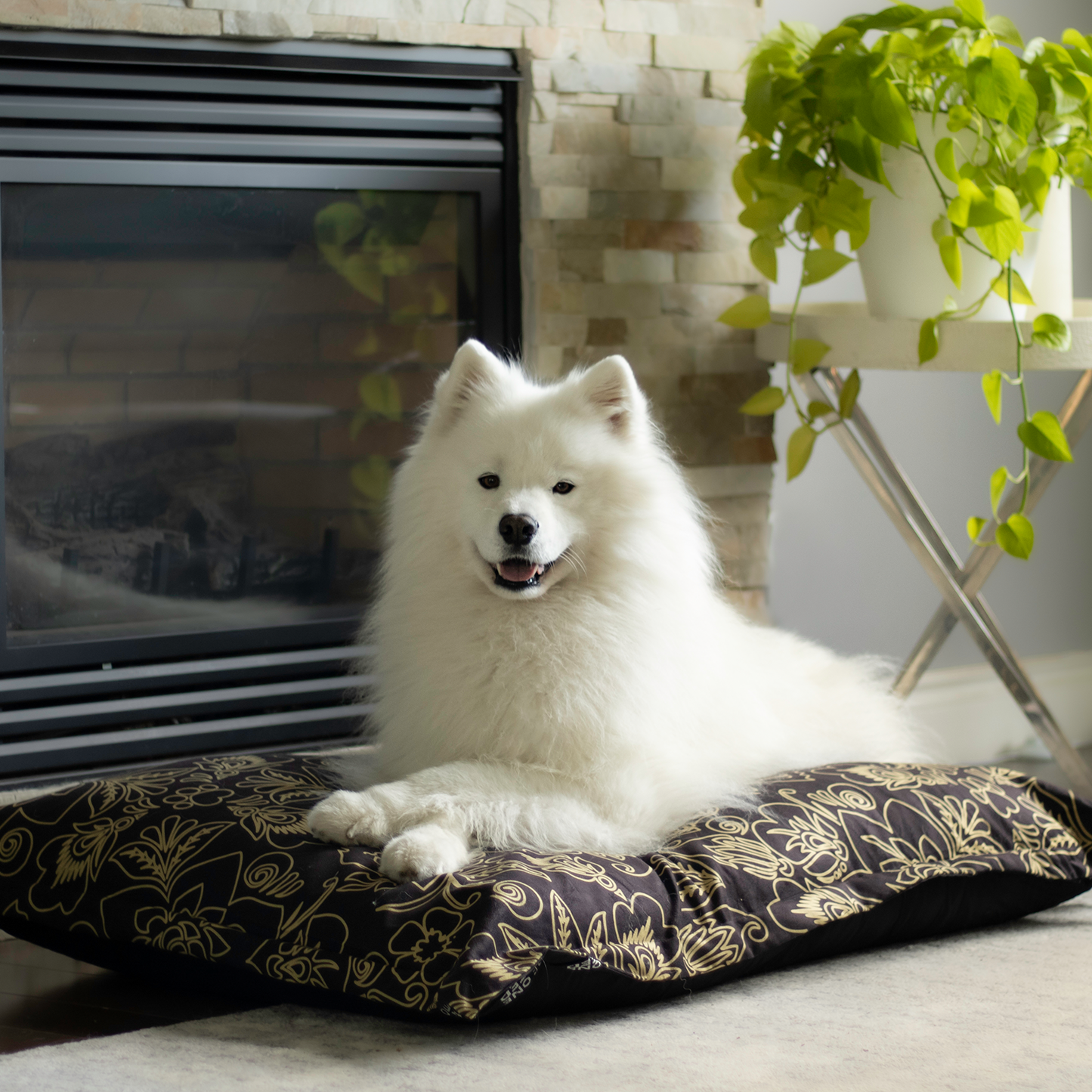 Supplementry cloud dog bed cover