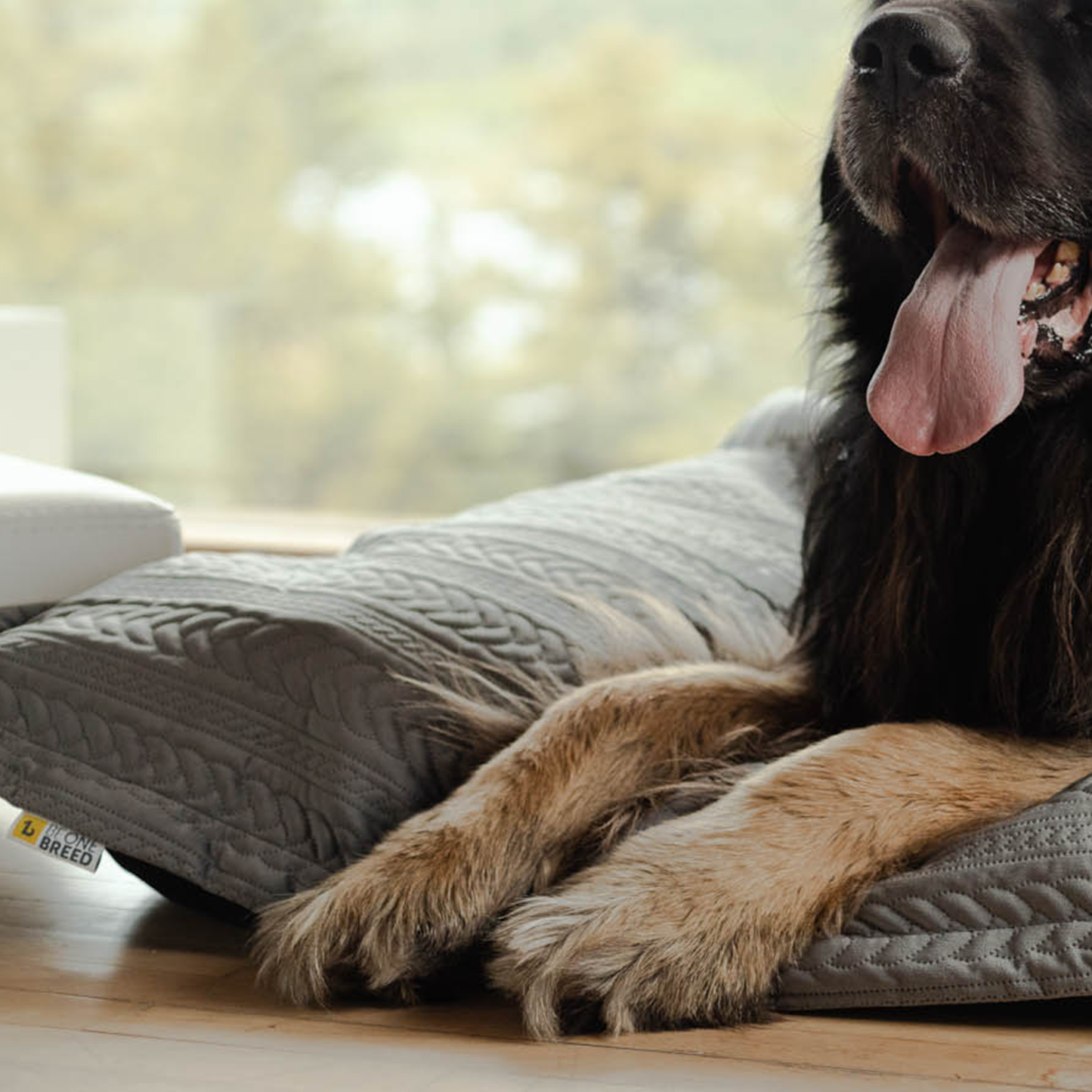 Supplementry cloud dog bed cover