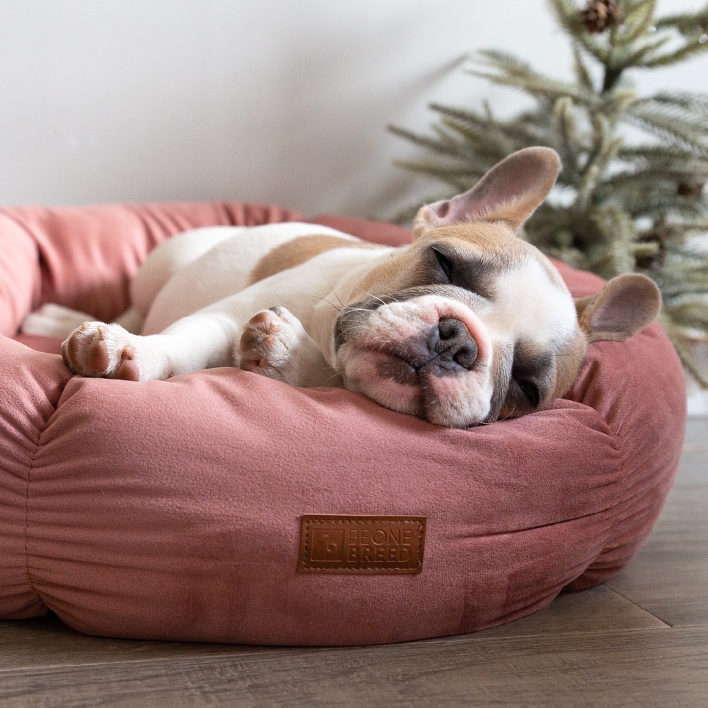 Round velvet bed for cat and small dog, pink
