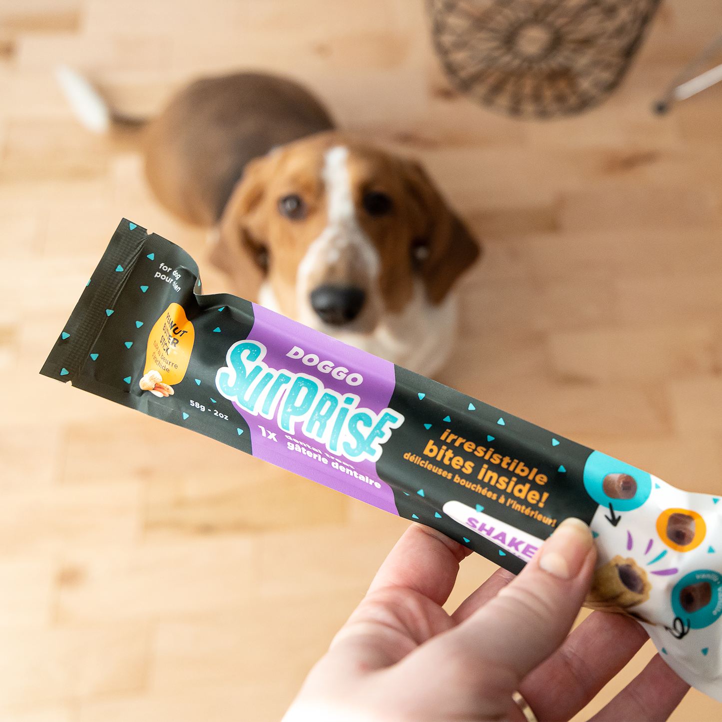Dental chew bone for dog, surprise cookies