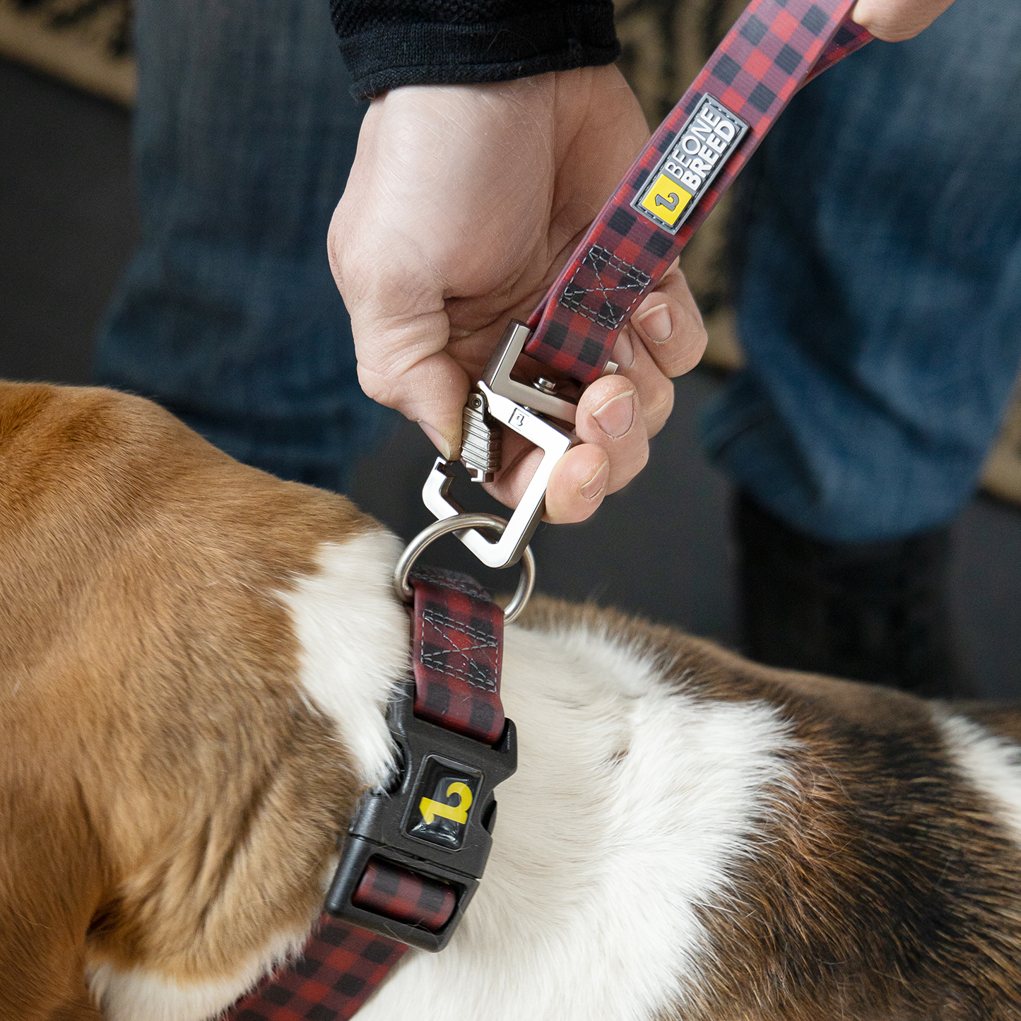 Silicone collar for dog, buffalo style