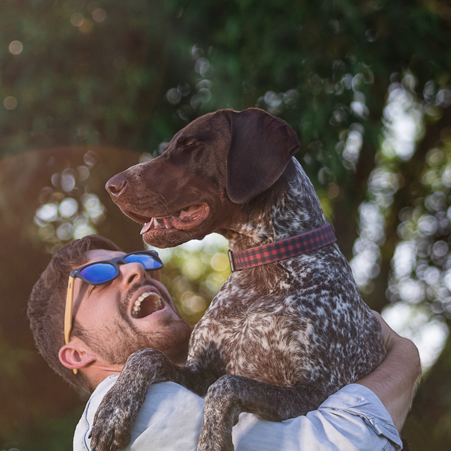 Silicone collar for dog, buffalo style