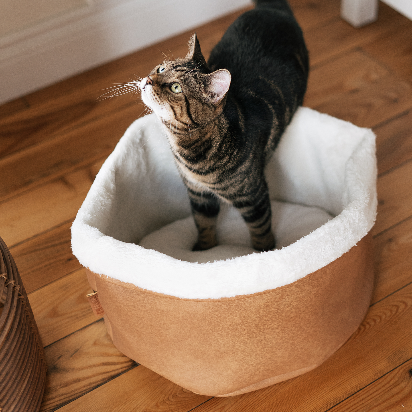 Faux leather basket bed for cat and small dog