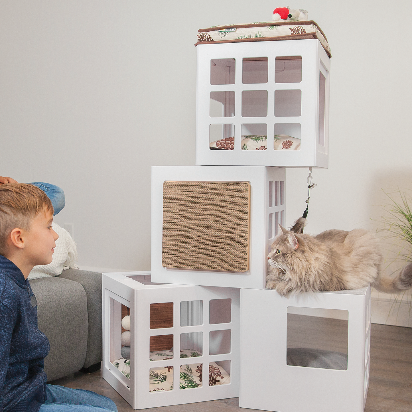Katt3 bed