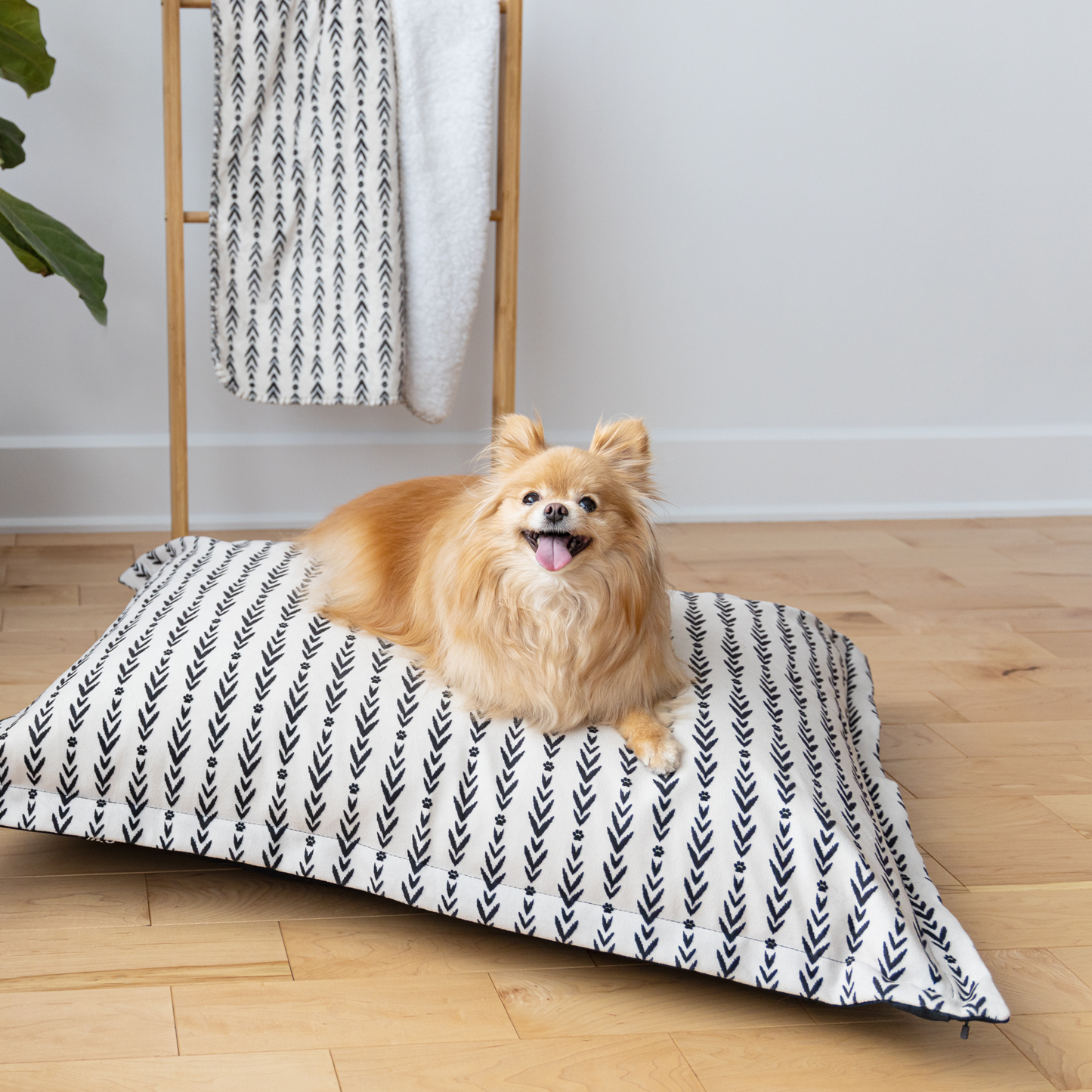 Memory foam dog bed, lakewood style
