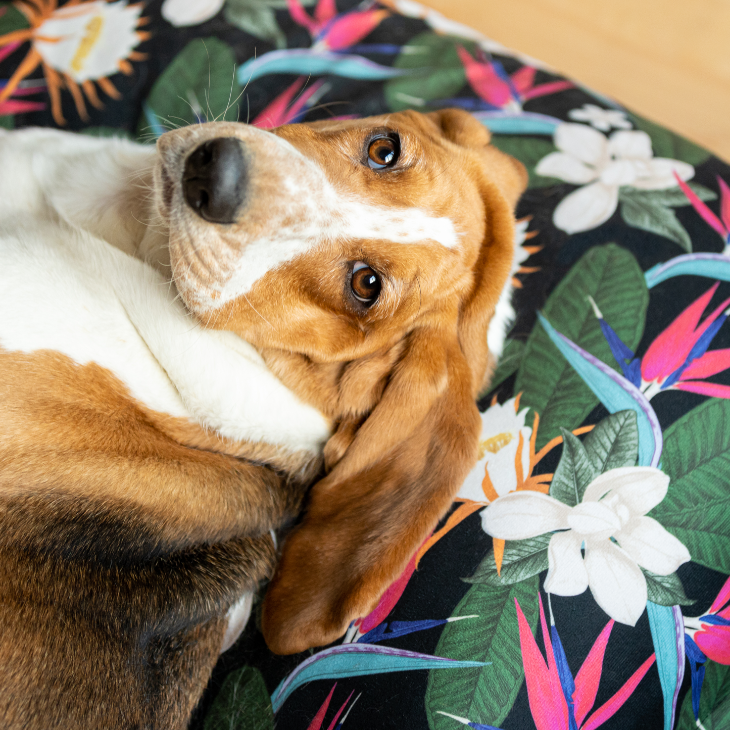 Memory foam dog bed, birds of paradise style