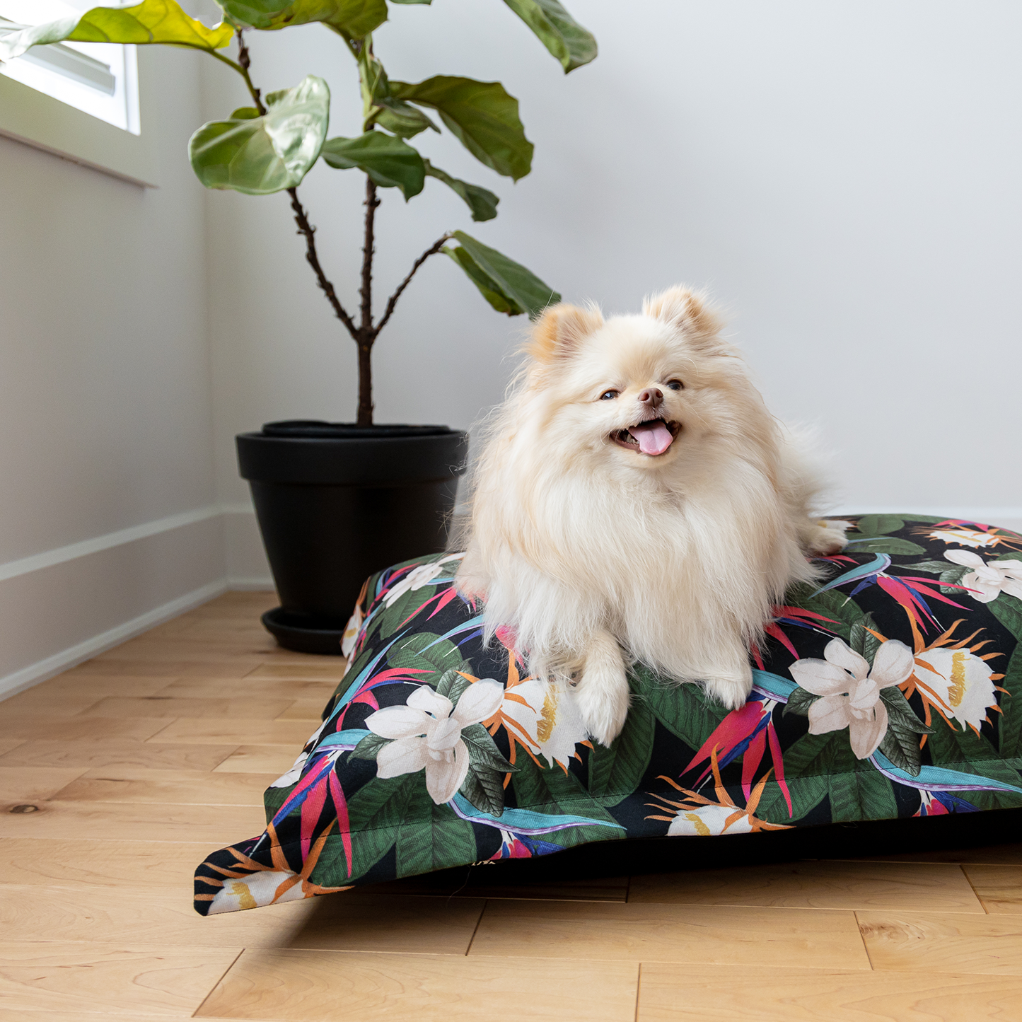 Memory foam dog bed, birds of paradise style