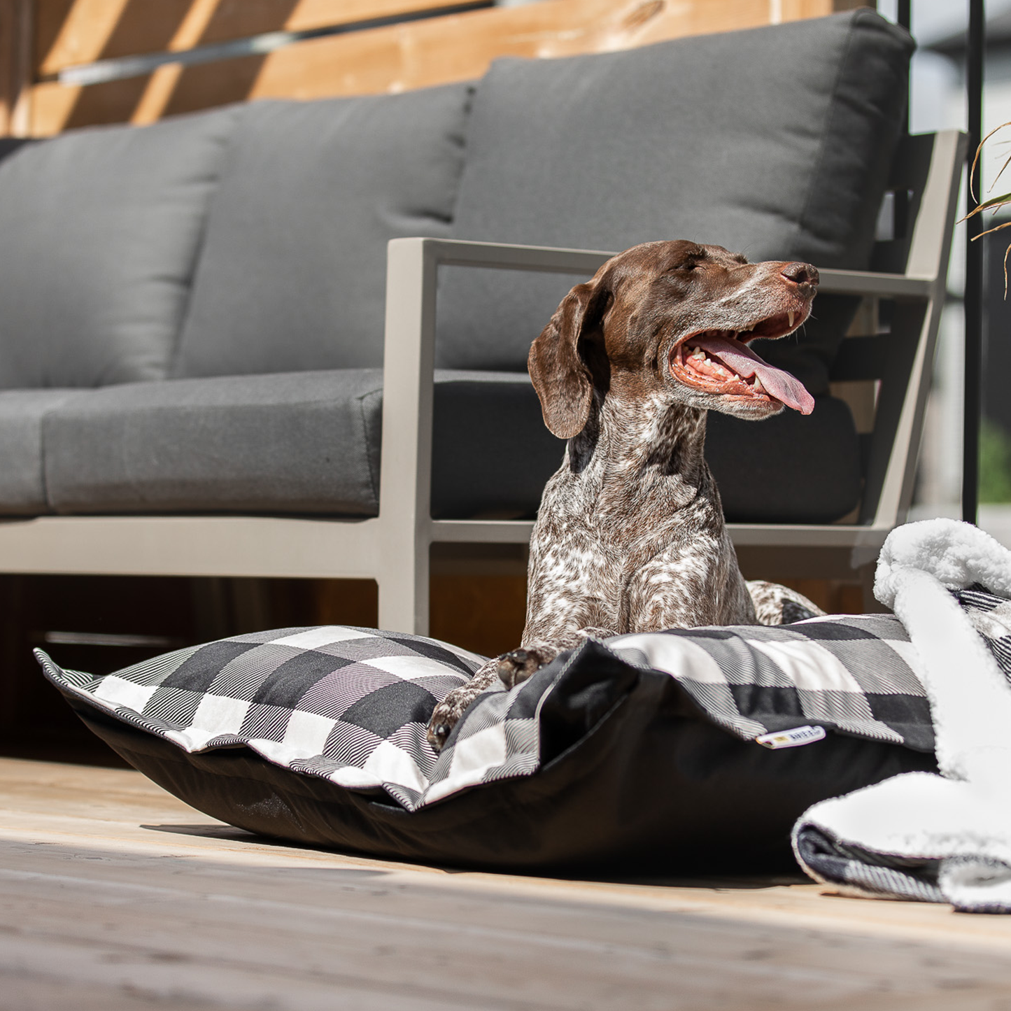 Memory foam dog bed, black plaid style