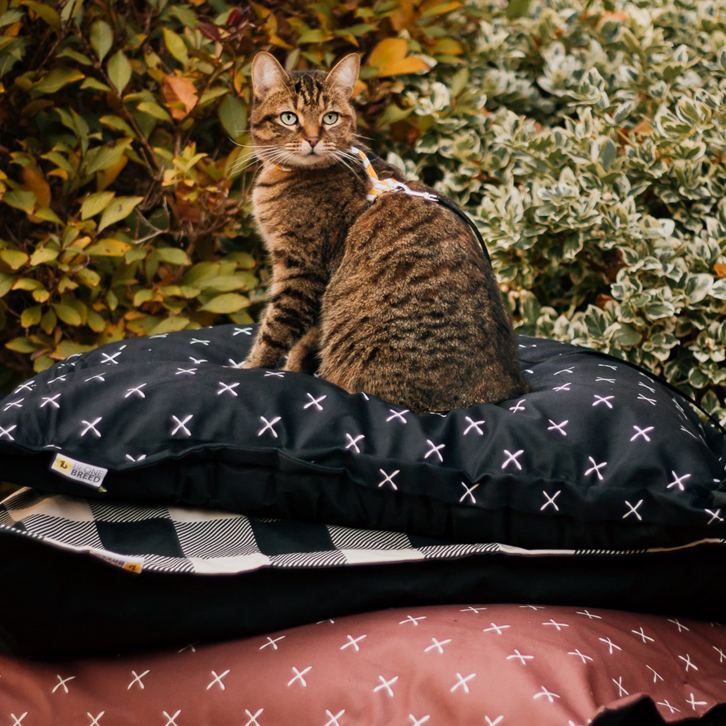 Supplementry cloud dog bed cover