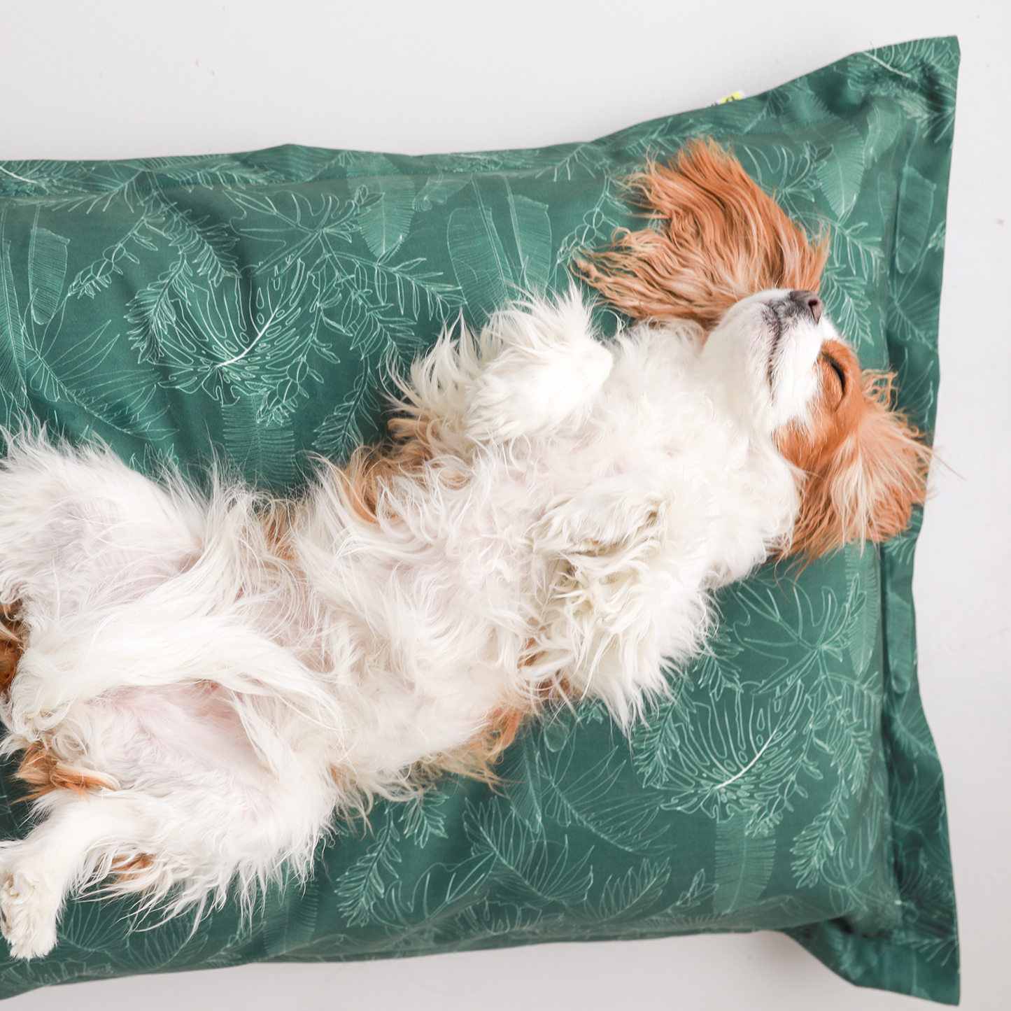 Memory foam dog bed, greenery style