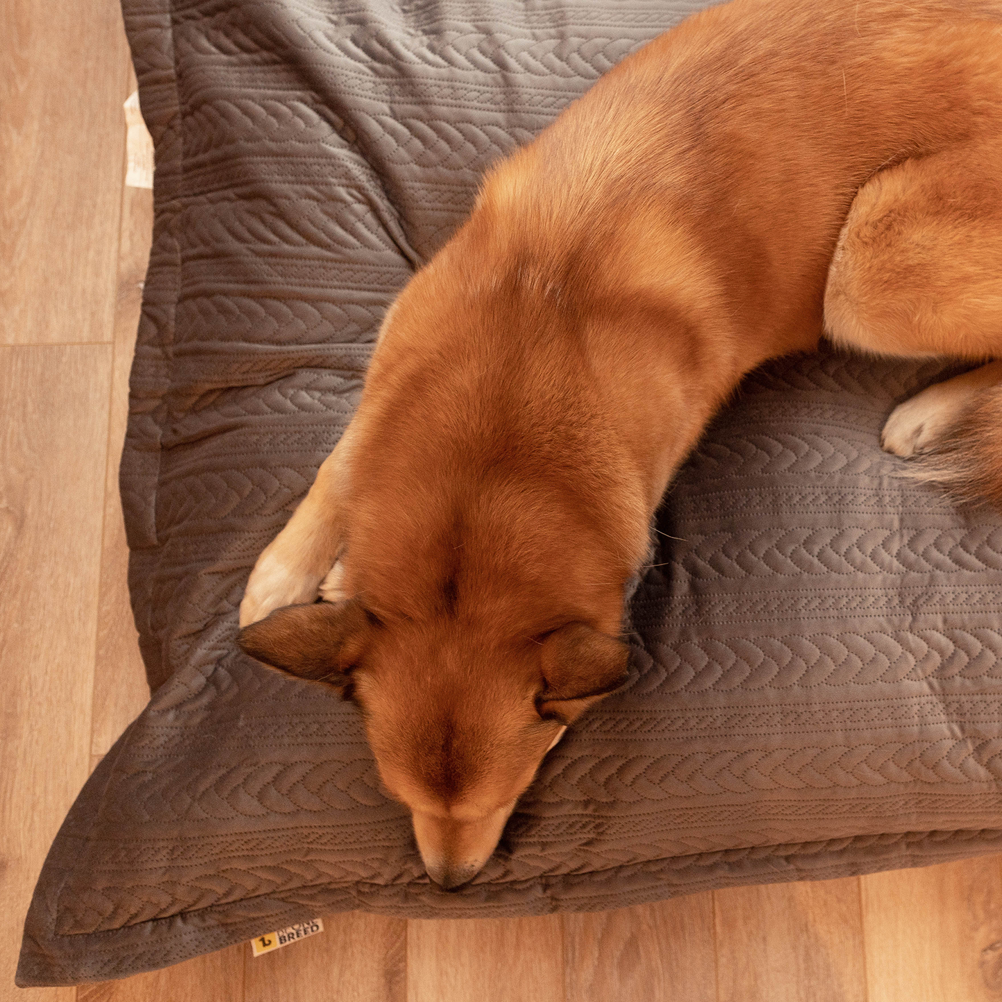 Memory foam dog bed, knit style