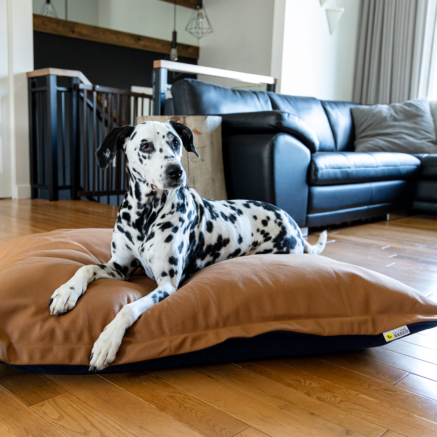 Memory foam dog bed, reversible corduroy style