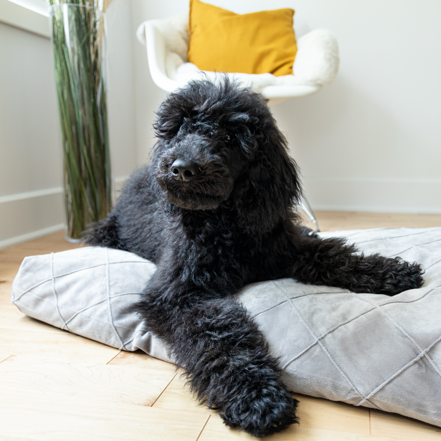 Ultimate savings bundle - Sky bed and spare cover