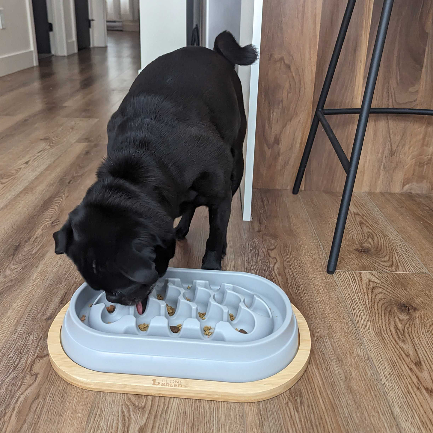 Slow feeder for dog, gray