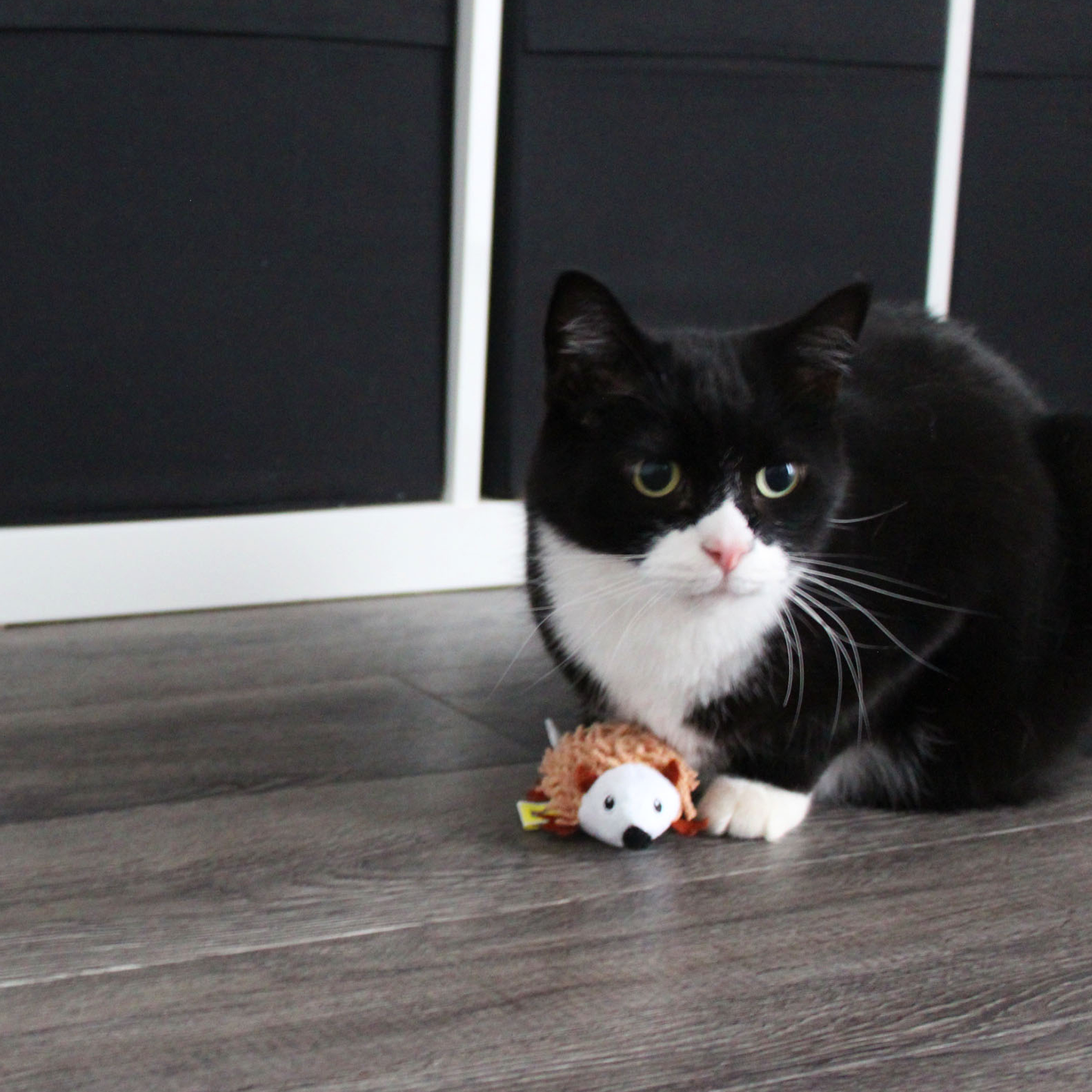 Plush toy for cat, porcupine style