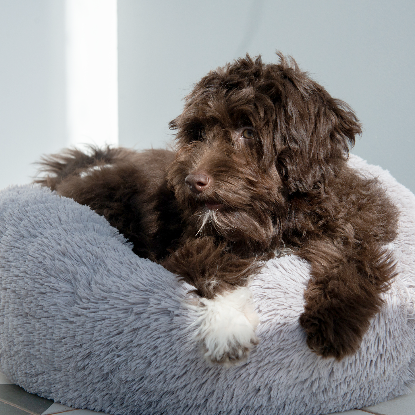 Calming shaggy bed