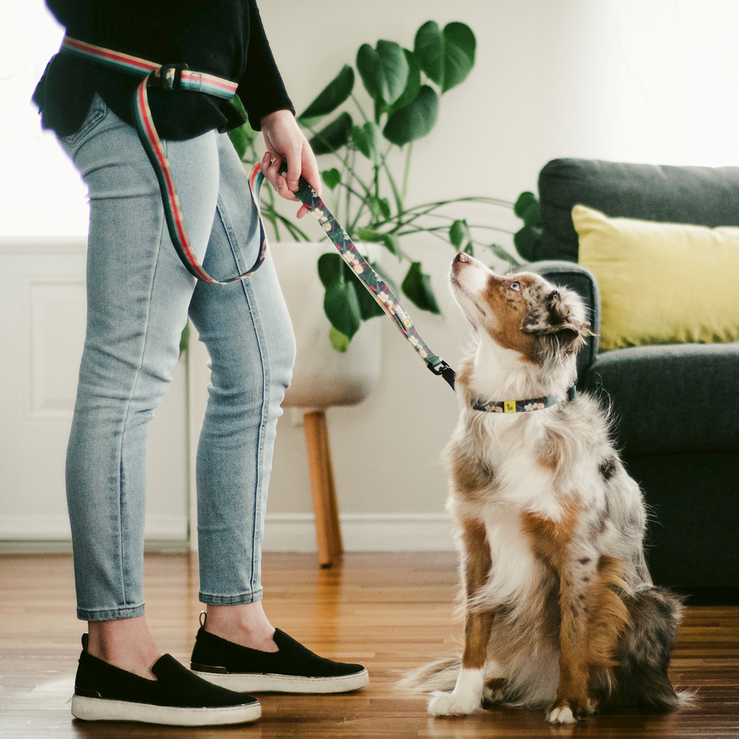 Silicone leash for dog, birds of paradise style