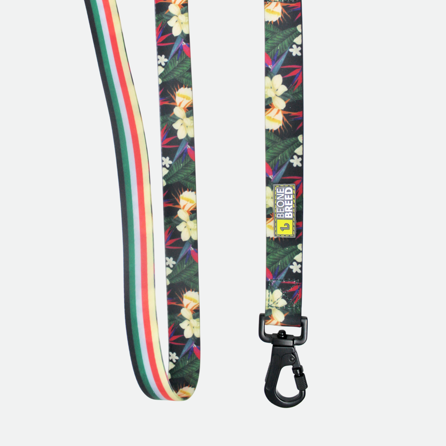 Silicone leash for dog, birds of paradise style