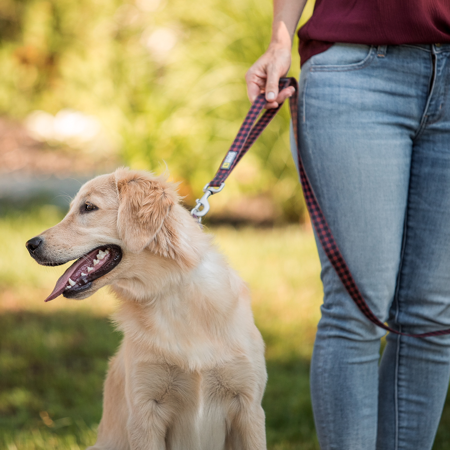 Silicone leash for dog, buffalo style