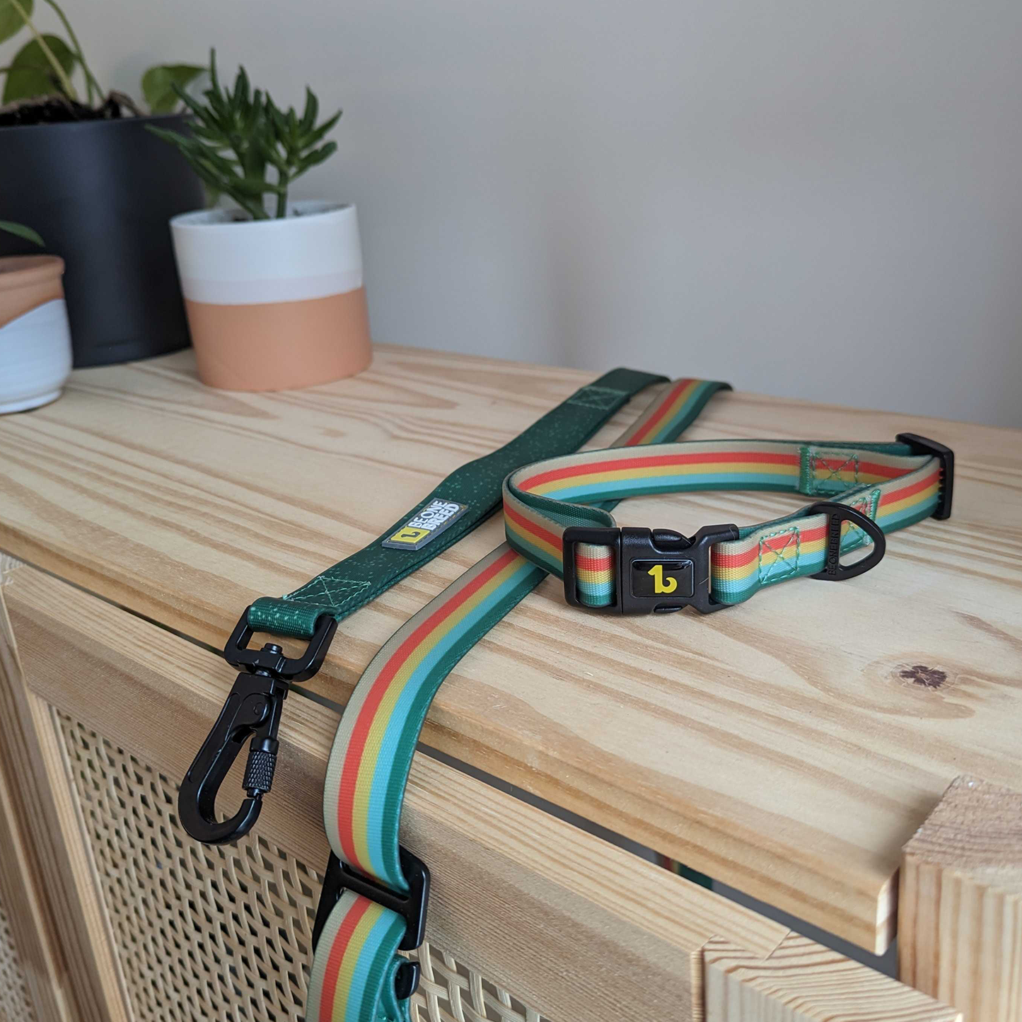 Silicone leash for dog, nomad style