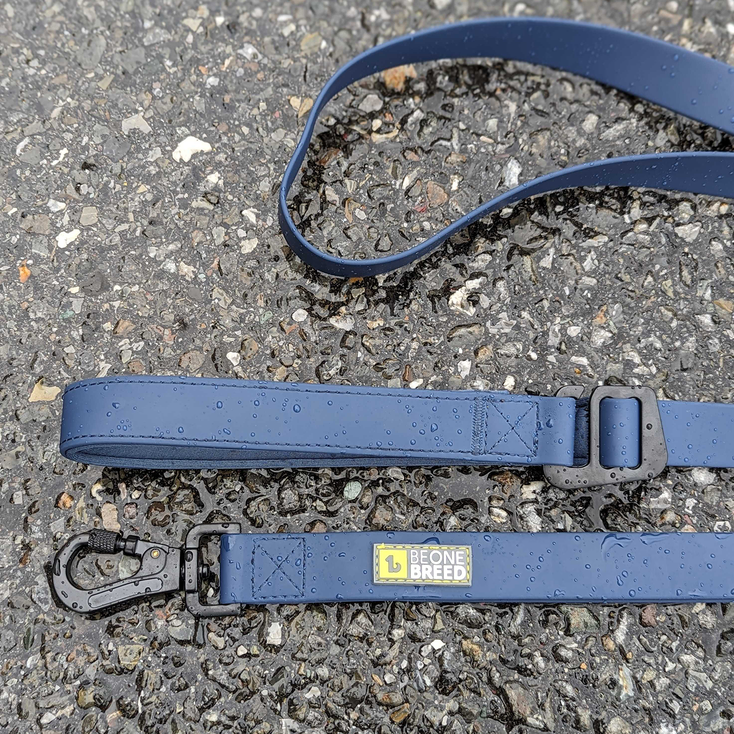 Silicone leash for dog, teal style