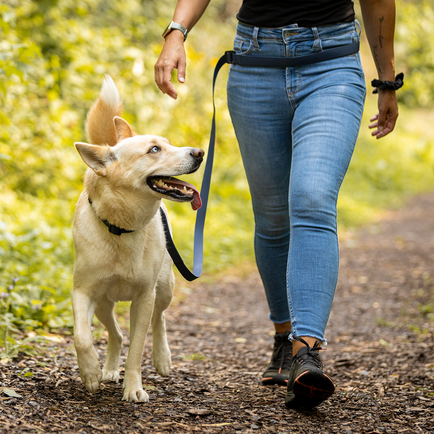 Silicone leash for dog, teal style