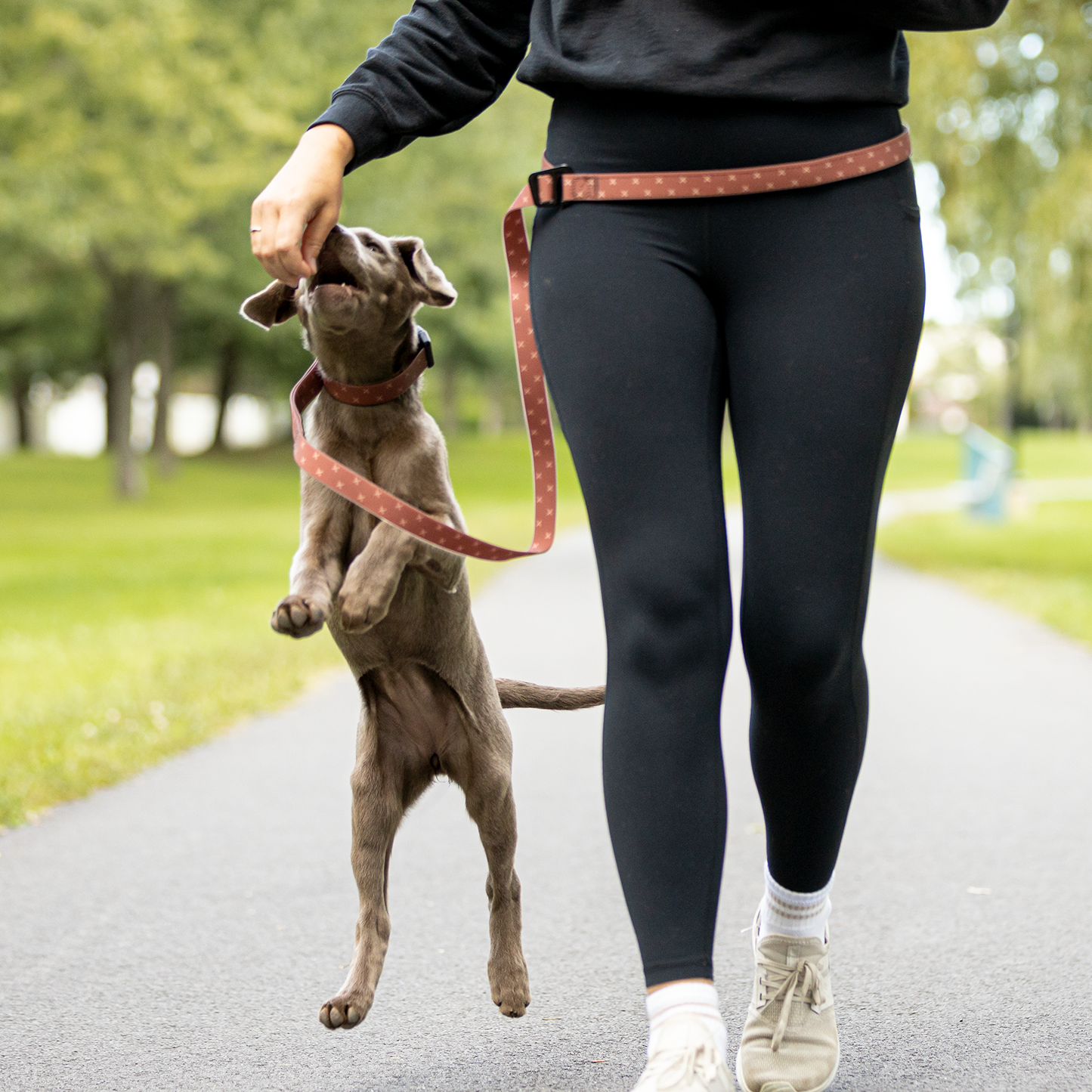 Silicone leash for dog, terra X style