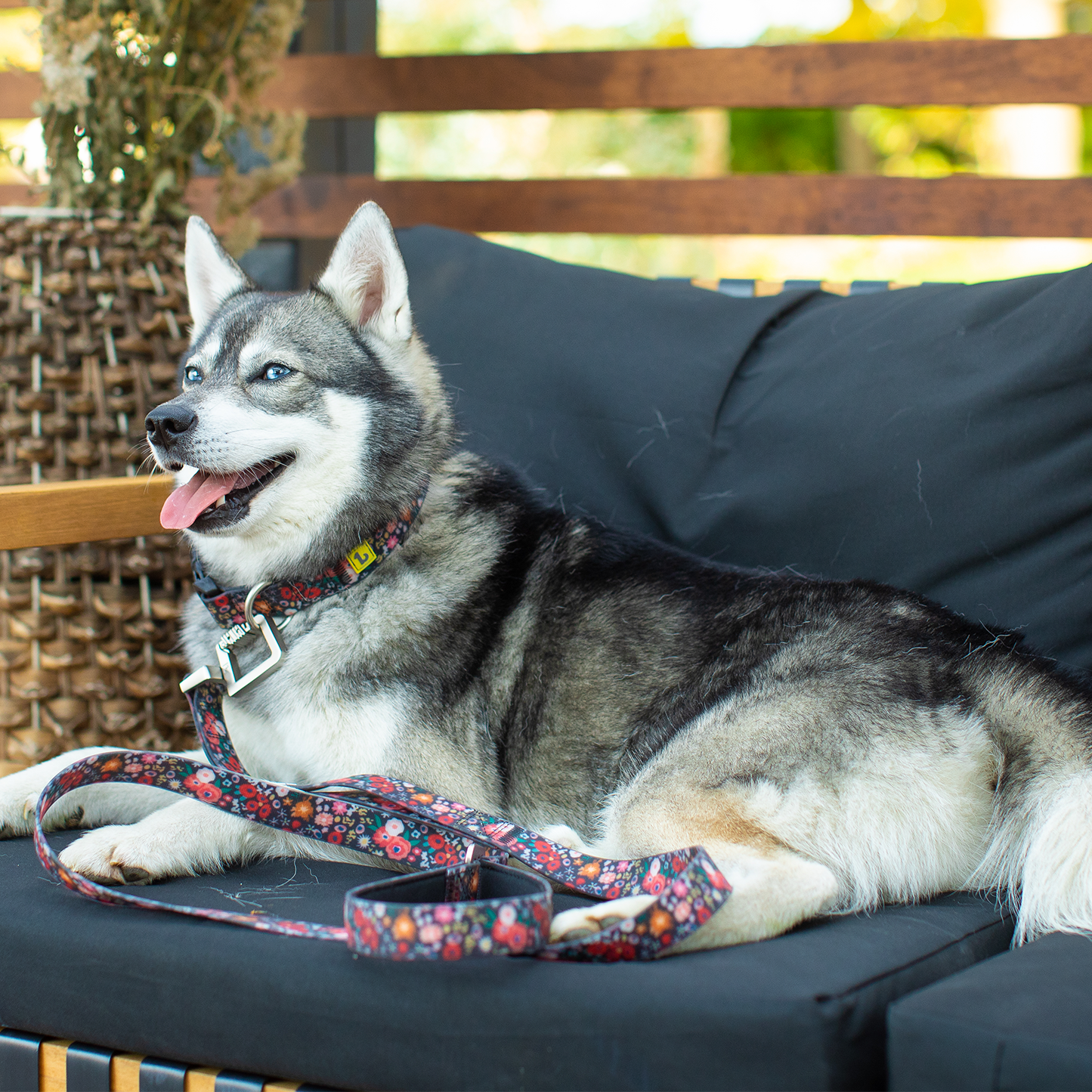 Silicone leash for dog, wildflowers style