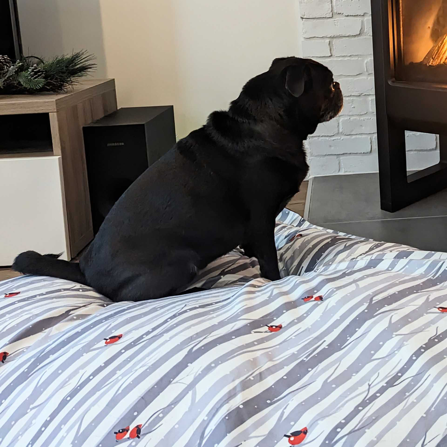 Supplementry cloud dog bed cover, cardinals