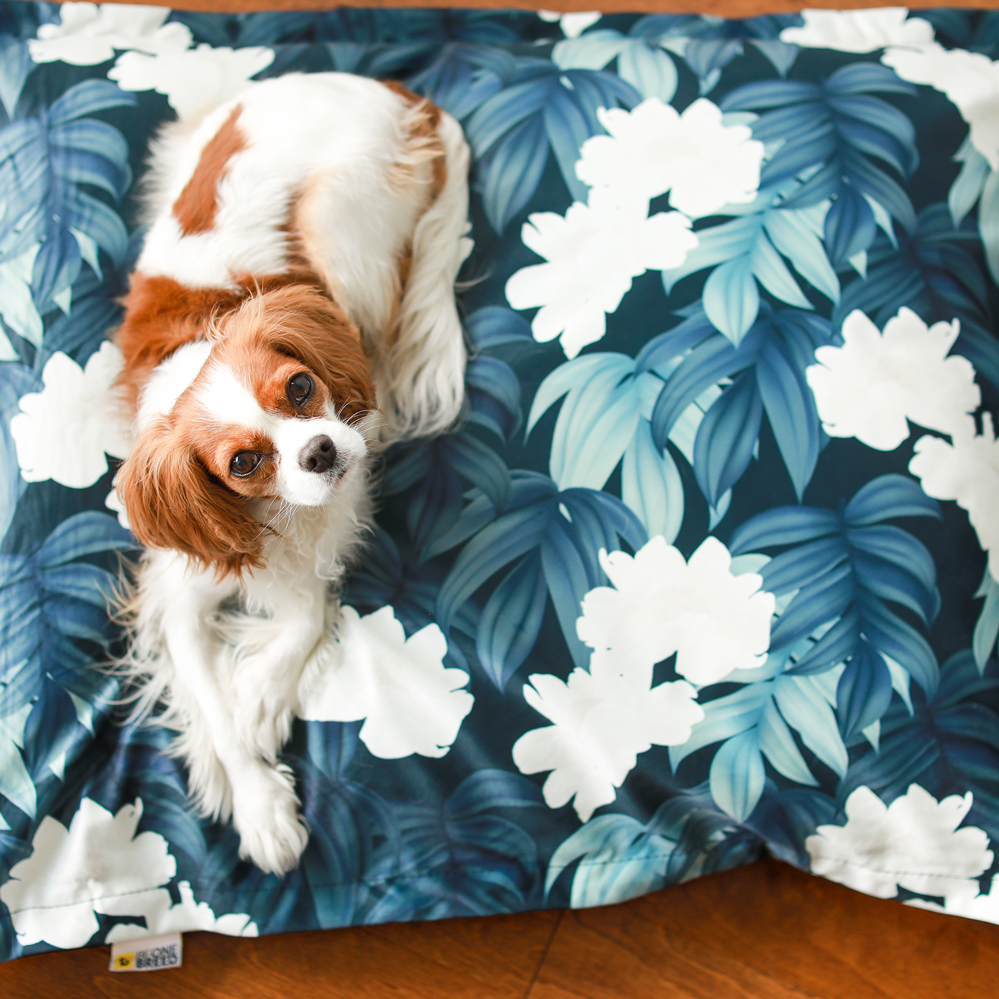 Supplementry cloud dog bed cover, peonies