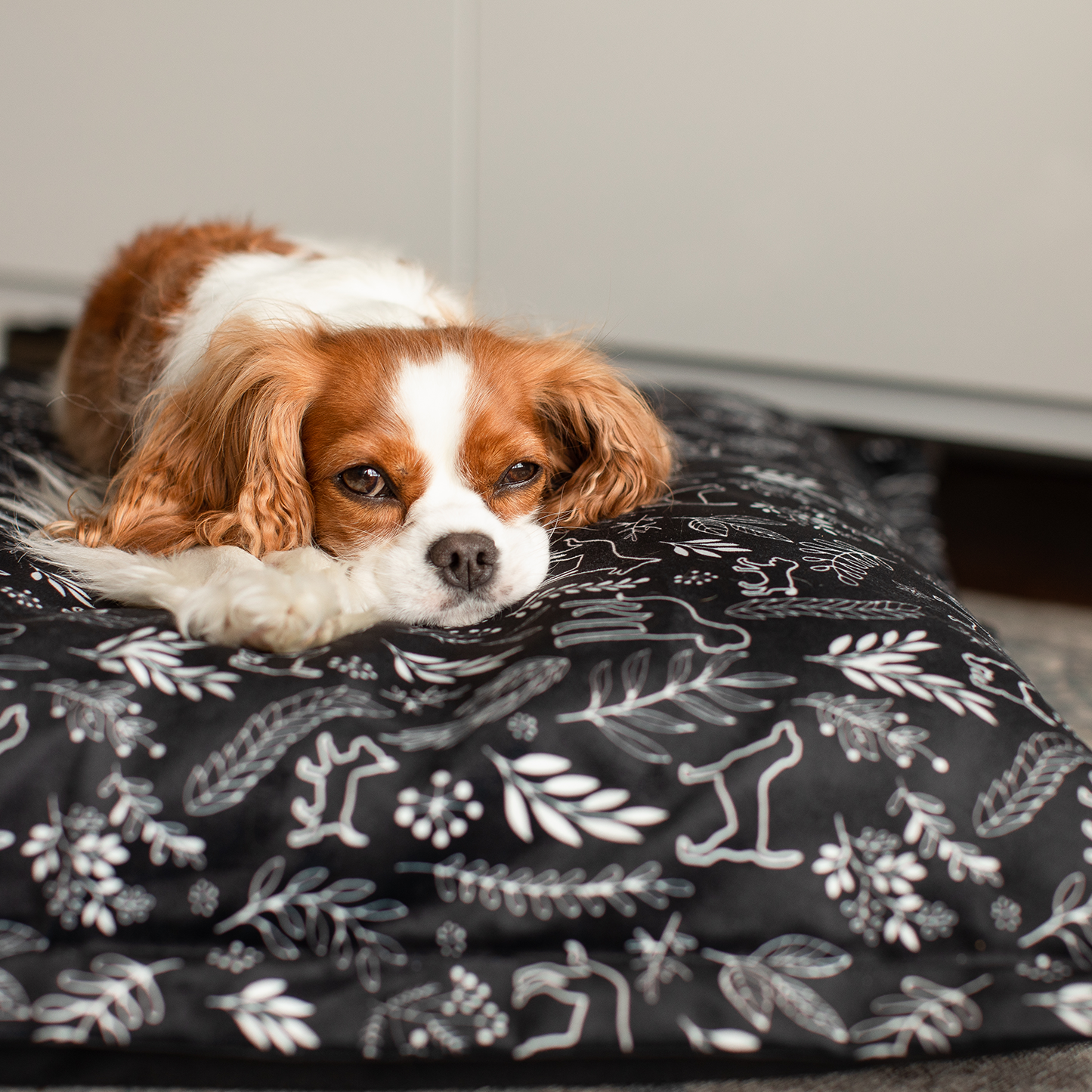 Supplementry cloud dog bed cover, botanical dogs