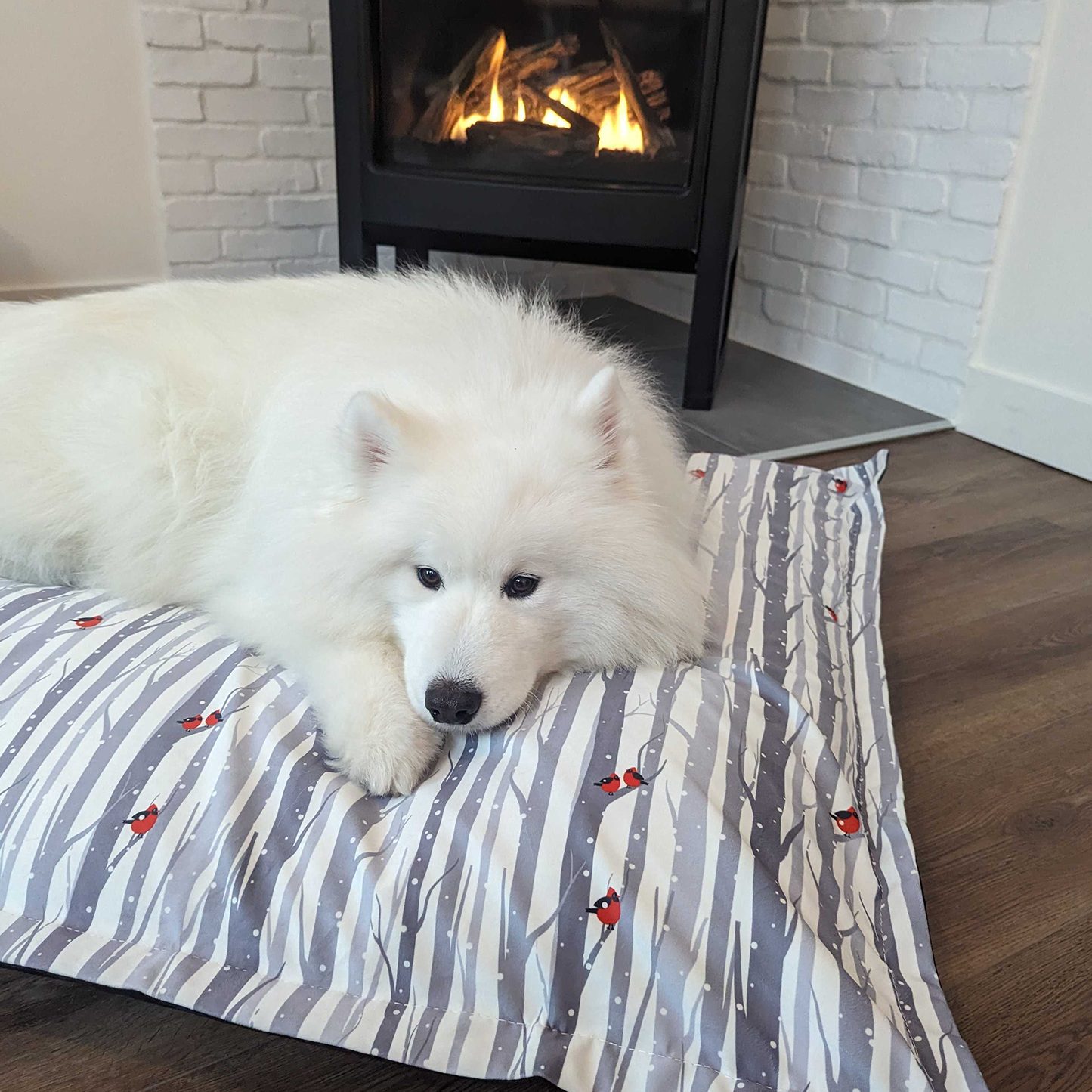 Supplementry cloud dog bed cover, cardinals