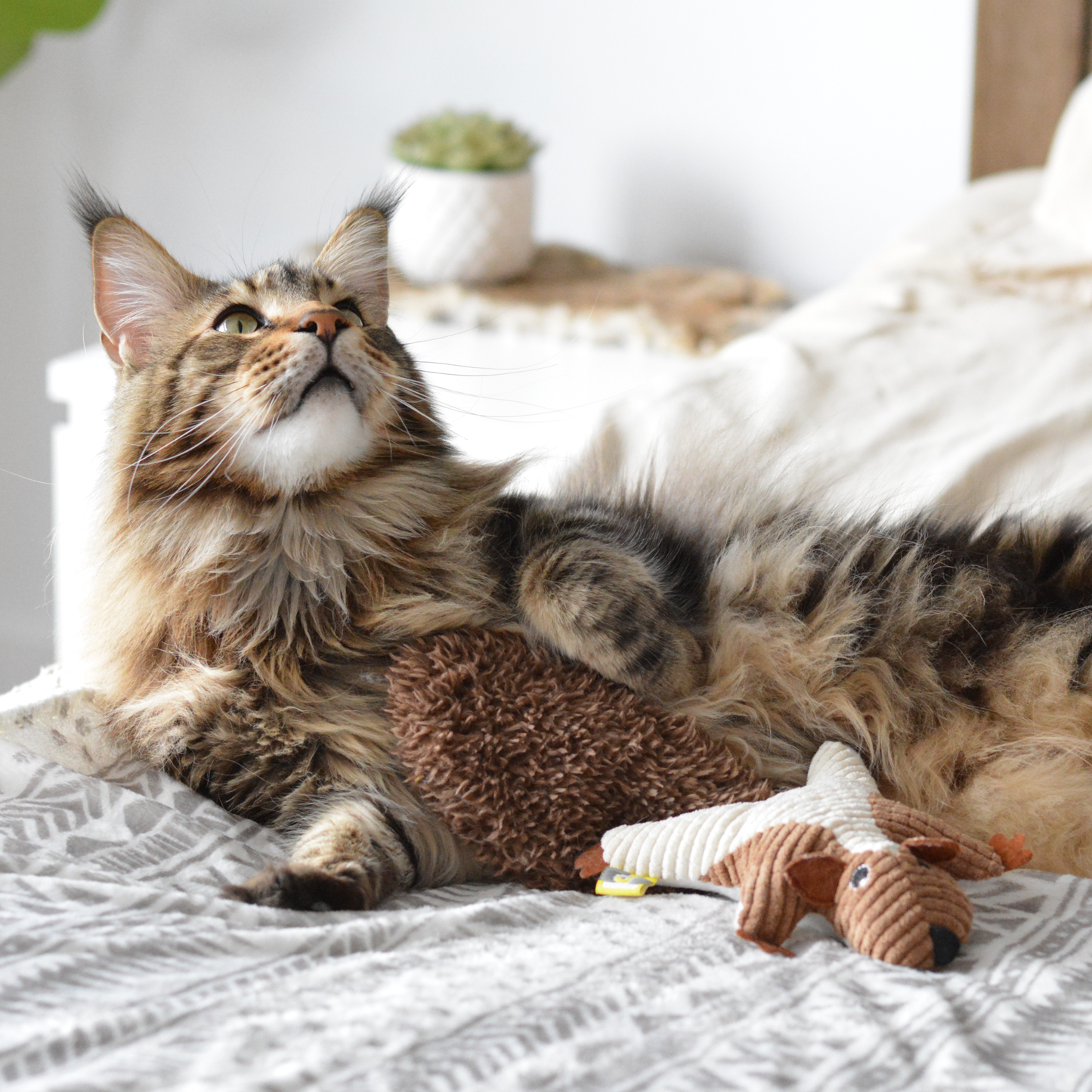 Plush toy for cat, squirrel style