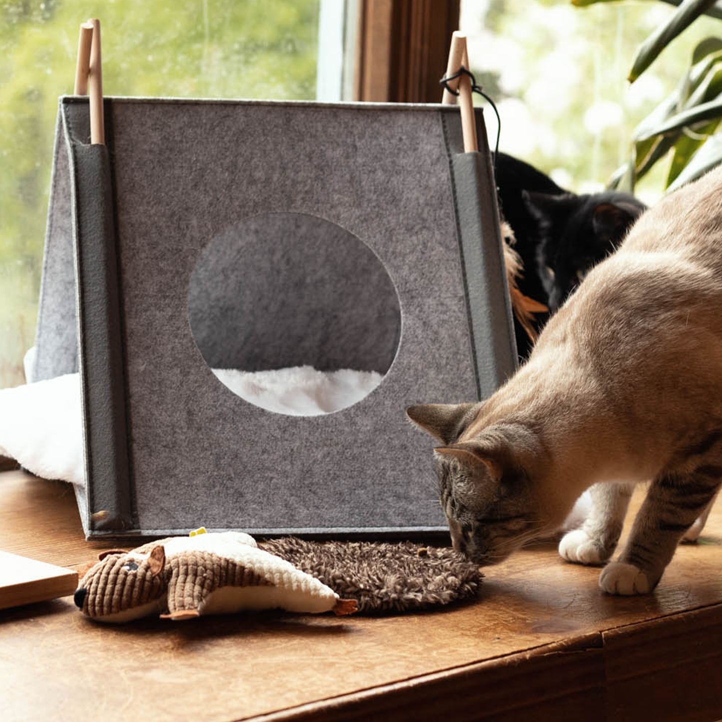 Plush toy for cat, squirrel style