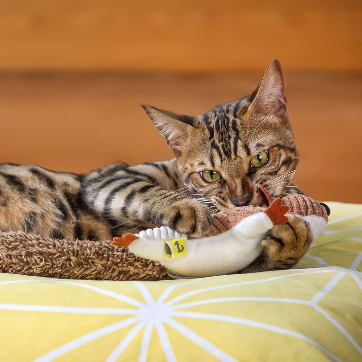 Plush toy for cat, squirrel style