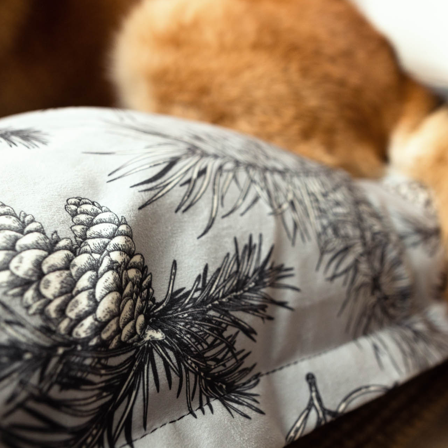 Memory foam dog bed, pine forest style