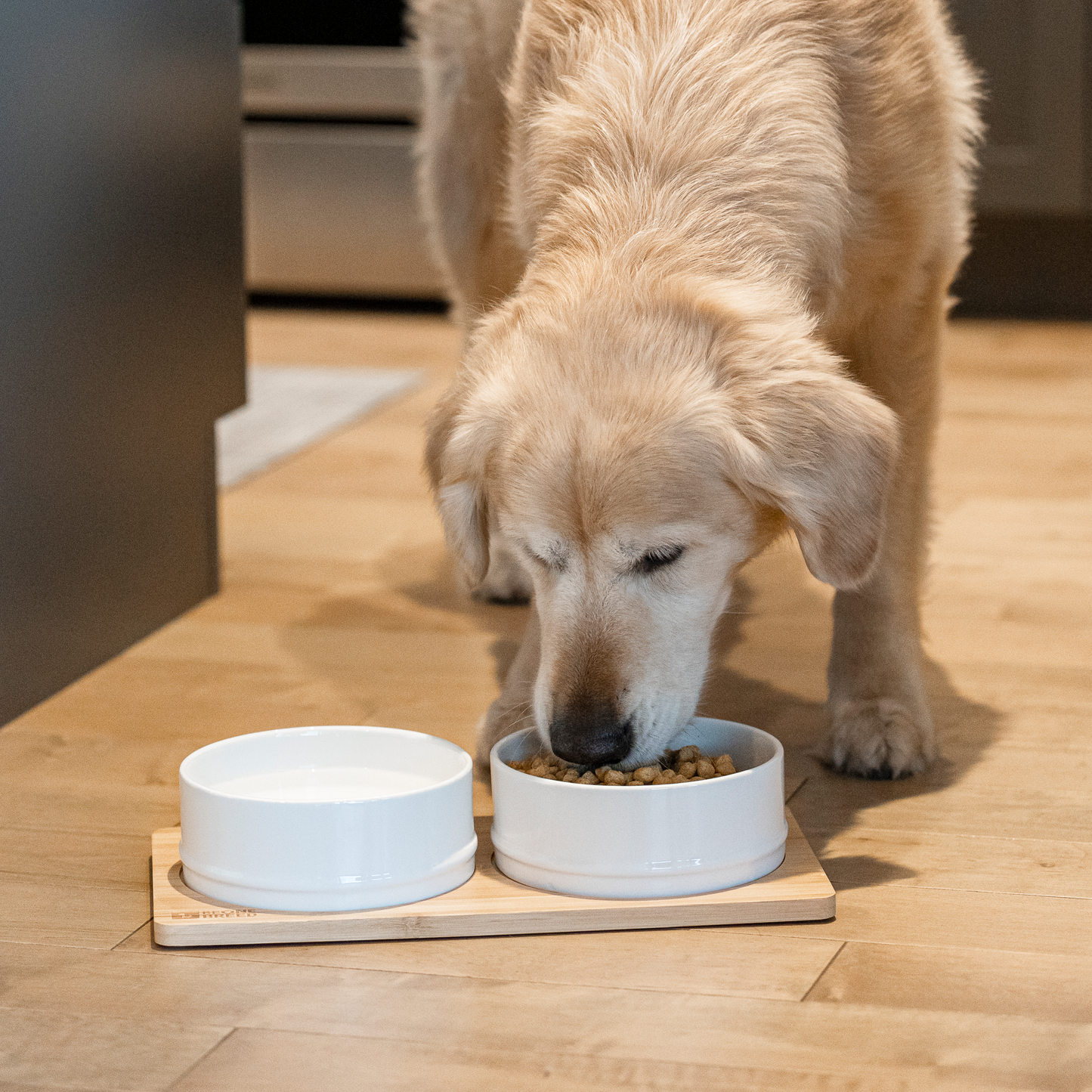 Ceramic bowls on bamboo plate for pet, white