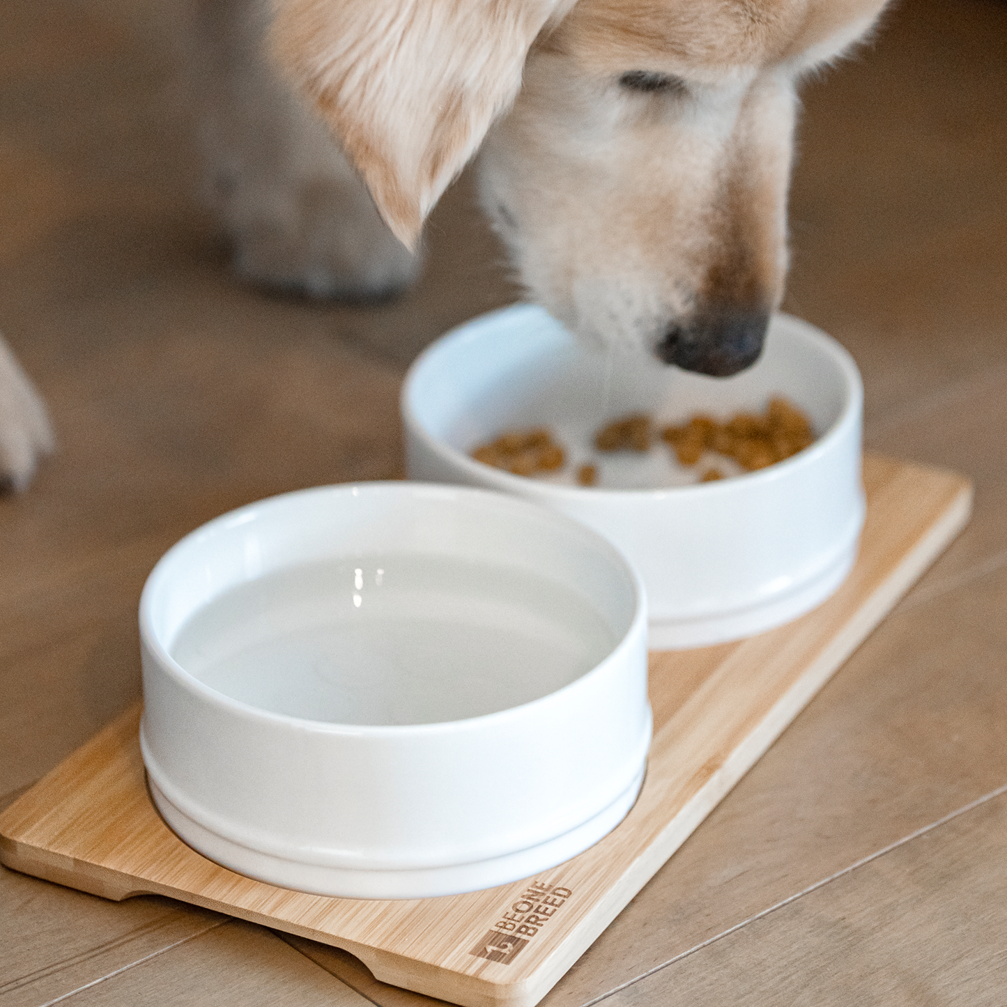 Ceramic bowls on bamboo plate for pet, white