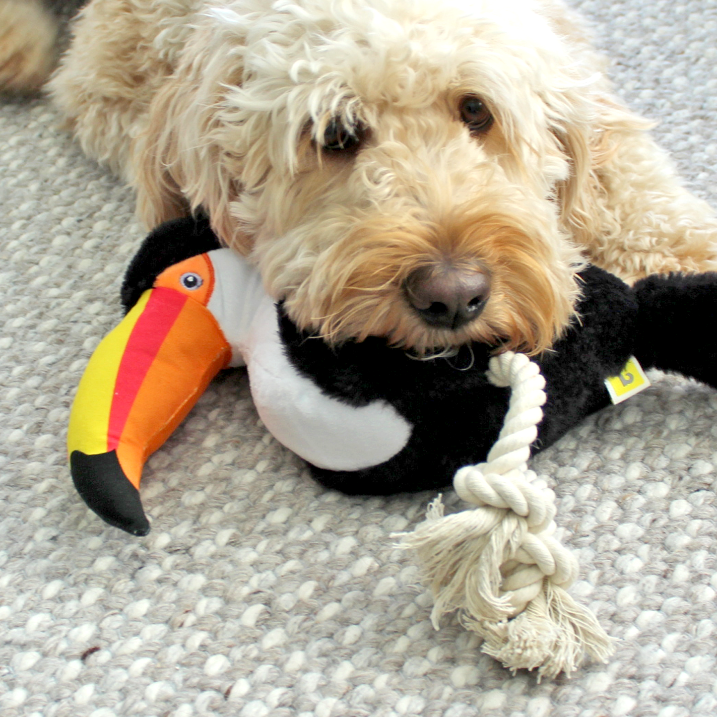 Plush toy for dog, toucan style