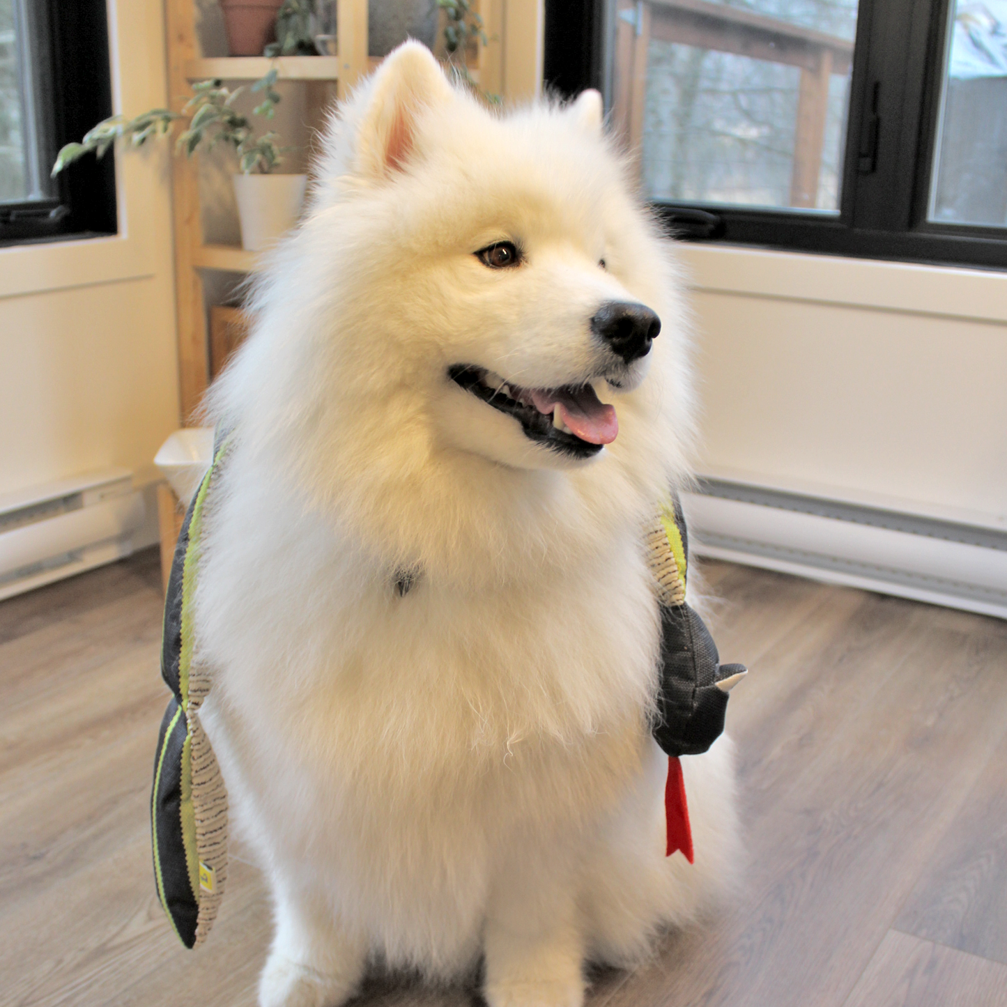 Plush toy for dog, grass snake style